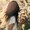 Photo of Natalie H.