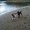 Photo of Qype User (raubvo…)