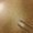 Photo of Ericka R.