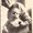 Photo of Terry S.