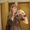 Photo of Hailey K.