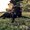 Photo of Erndog R.