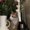 Photo of Hafsa A.