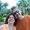 Photo of Deb S.