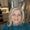 Photo of Karen T.