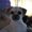 Photo of Peaches B.