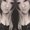 Photo of Abbie N.