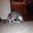 Photo of Timm D.