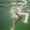 Photo of Yelena G.