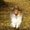 Photo of Cindy S.
