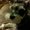 Photo of Dottie B.