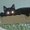 Photo of Marilinn M.