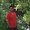 Photo of Mostafa S.