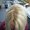 Photo of Qype User (angieg…)