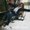 Photo of Nic H.