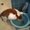 Photo of Loree D.