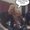 Photo of Denise S.