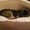 Photo of Jaci D.