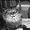 Photo of Cat G.