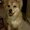 Photo of Adeline B.