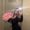 Photo of Analiese K.