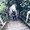 Photo of Lior G.