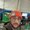 Photo of Carlos T.