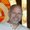 Photo of Jerry F.
