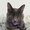 Photo of Missy D.