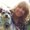Photo of Heather C.
