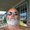 Photo of Jon C.