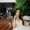 Photo of Nicolette D.