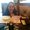 Photo of Ally A.