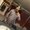 Photo of Gurpreet S.