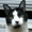 Photo of Steve M.