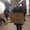 Photo of Lisel H.