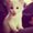 Photo of Selena S.