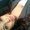 Photo of Dyanne R.