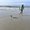 Photo of Akshar P.
