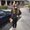 Photo of Roya K.