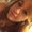 Photo of Alondra G.