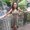 Photo of Vanessa B.
