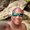 Photo of Greg D.
