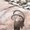 Photo of Barry F.