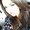 Photo of Jessica A.