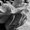 Photo of Spomenka T.