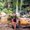 Photo of Ashmita P.