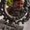 Photo of Donna C.