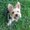 Photo of Gwendolyn G.