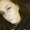 Photo of Jasmine R.